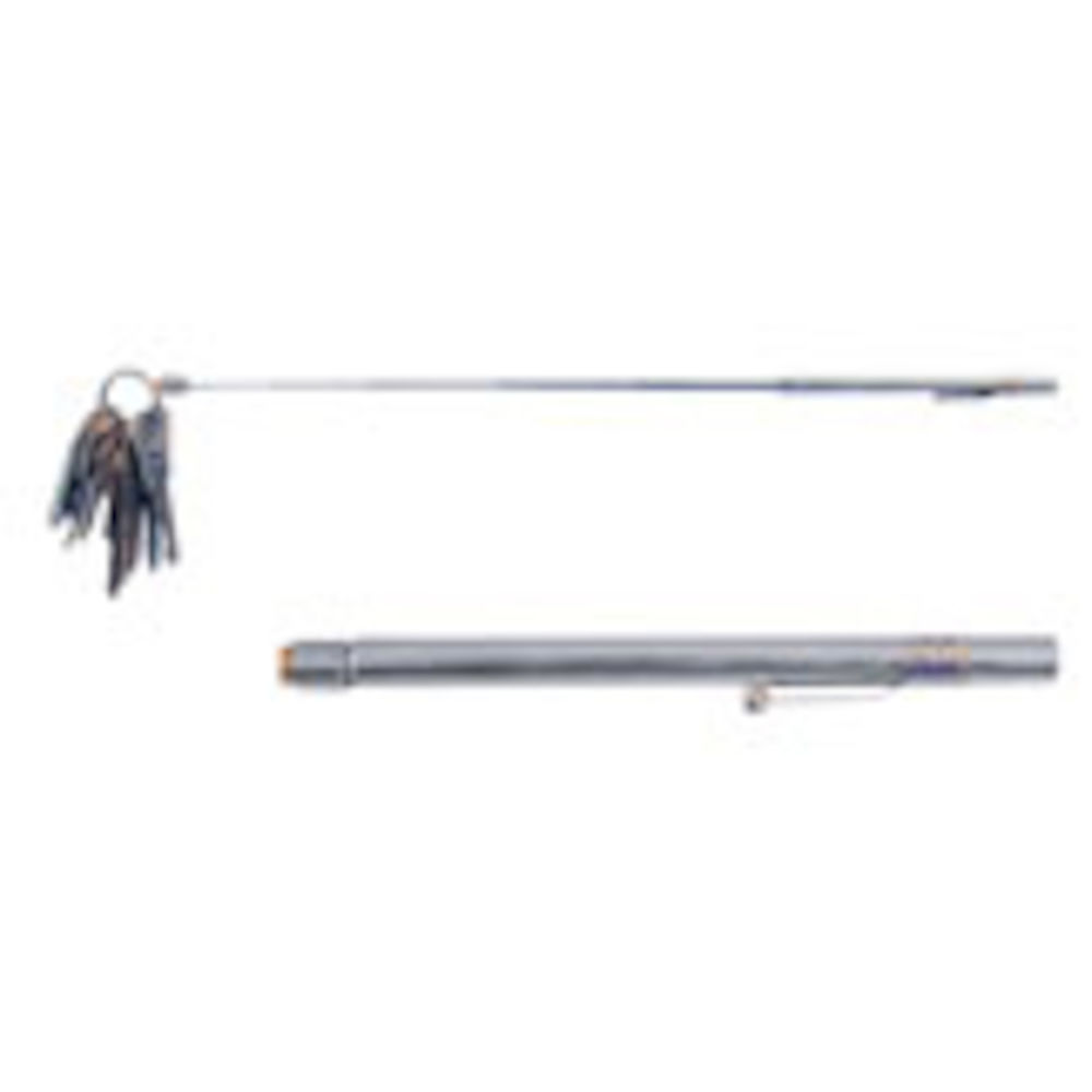 Magneet