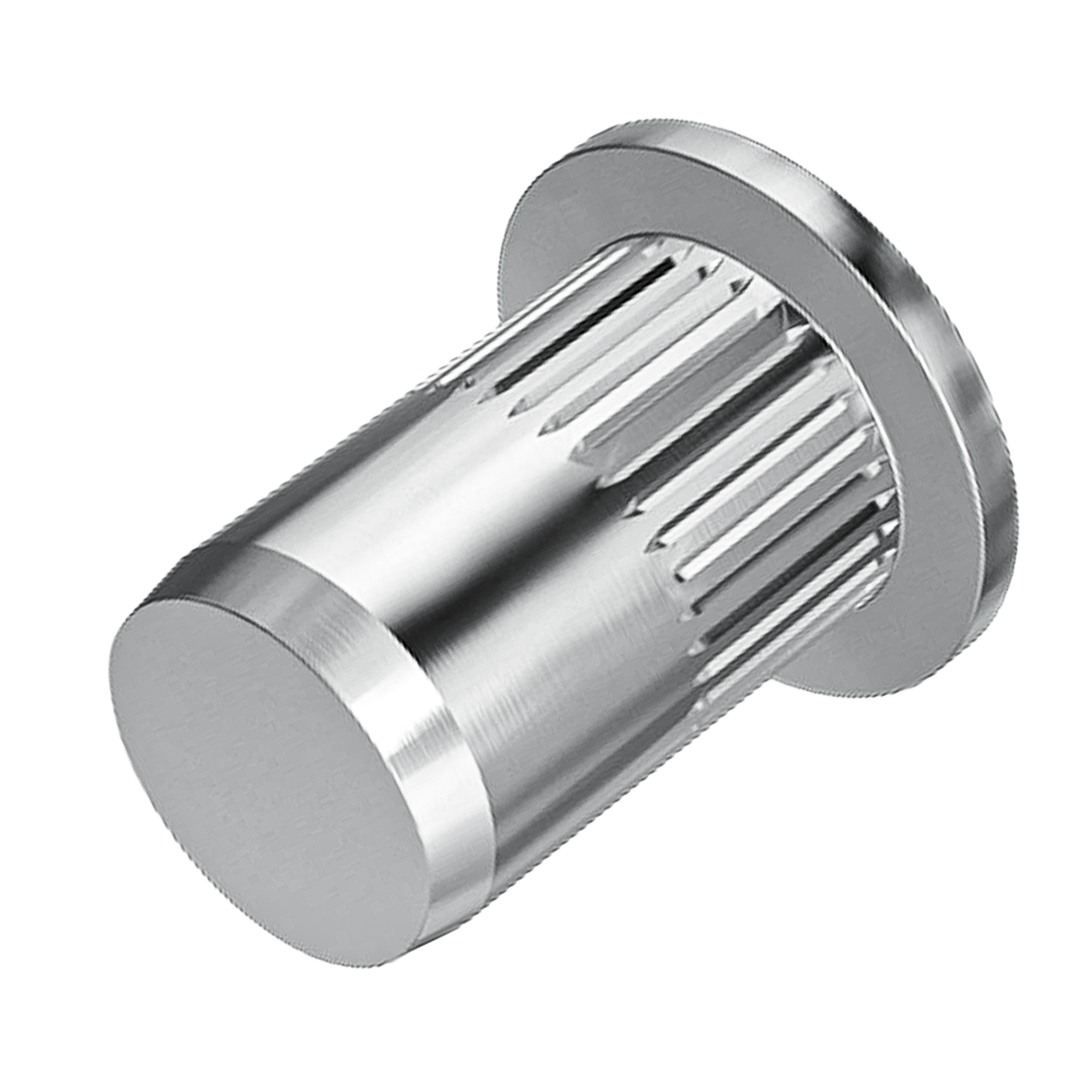Rivkle Inox, cilinder kop gesloten met kartels op de schacht