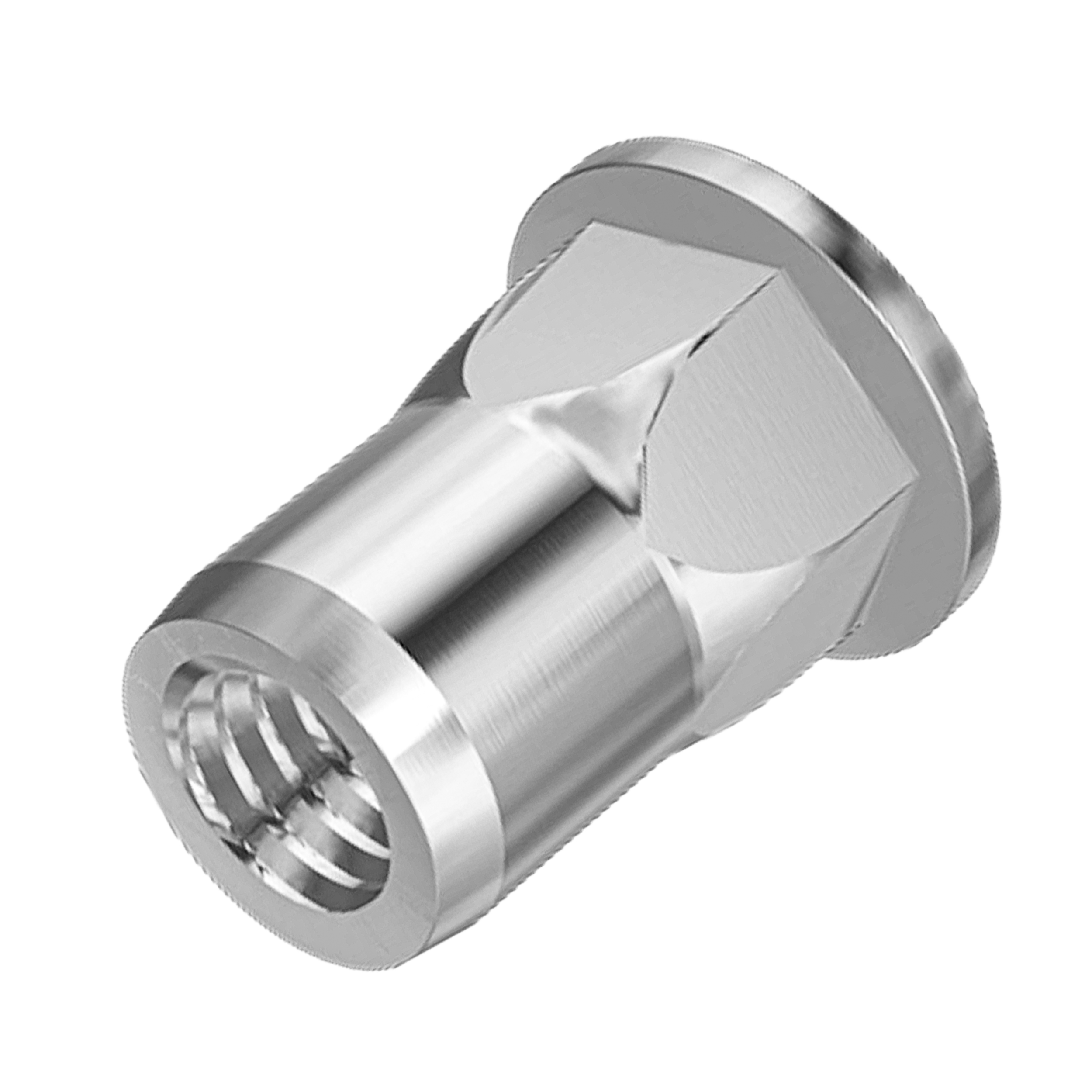 Rivkle Inox, cilinder kop met zeskant schacht