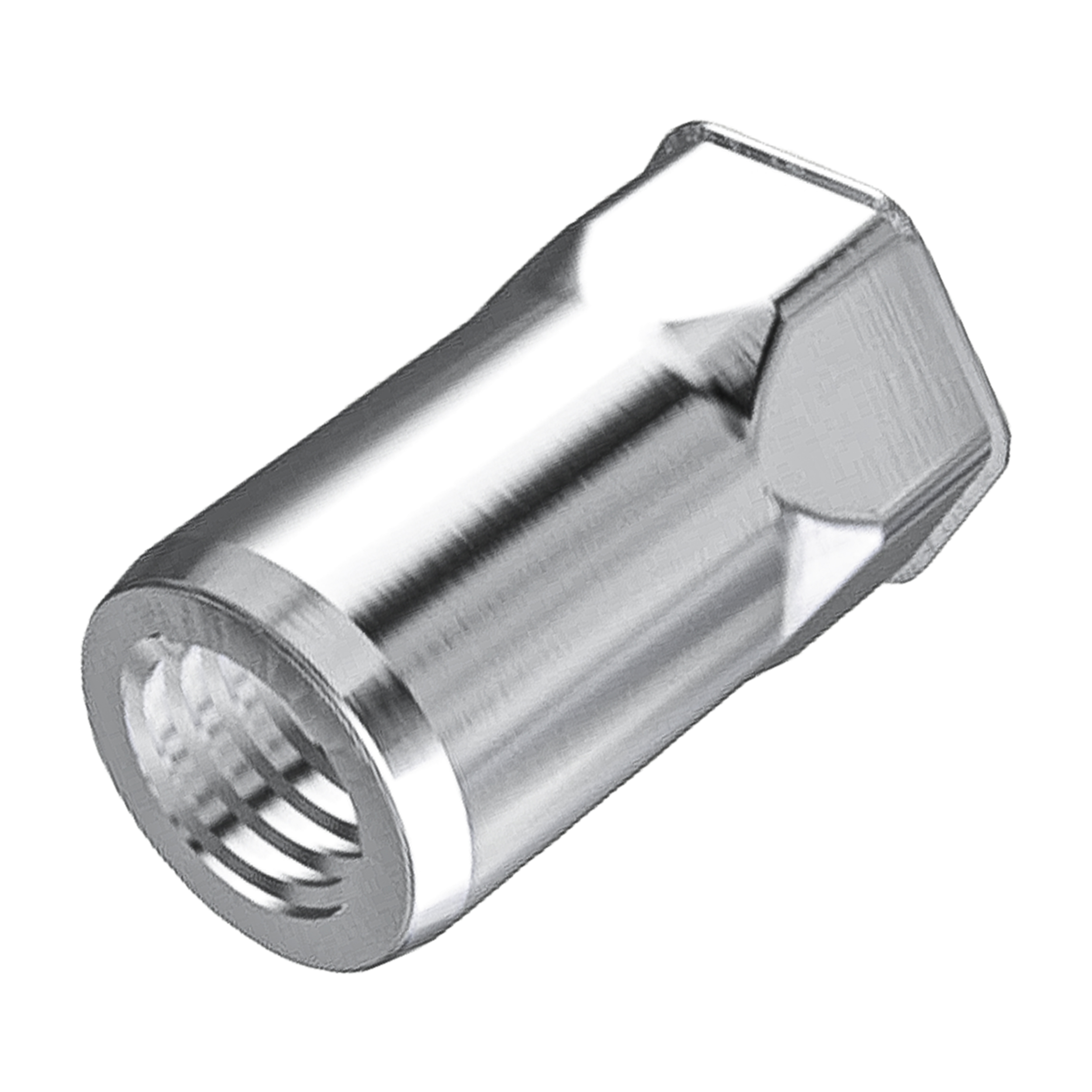 Rivkle Inox, extra gereduceerde kop met zeskant schacht