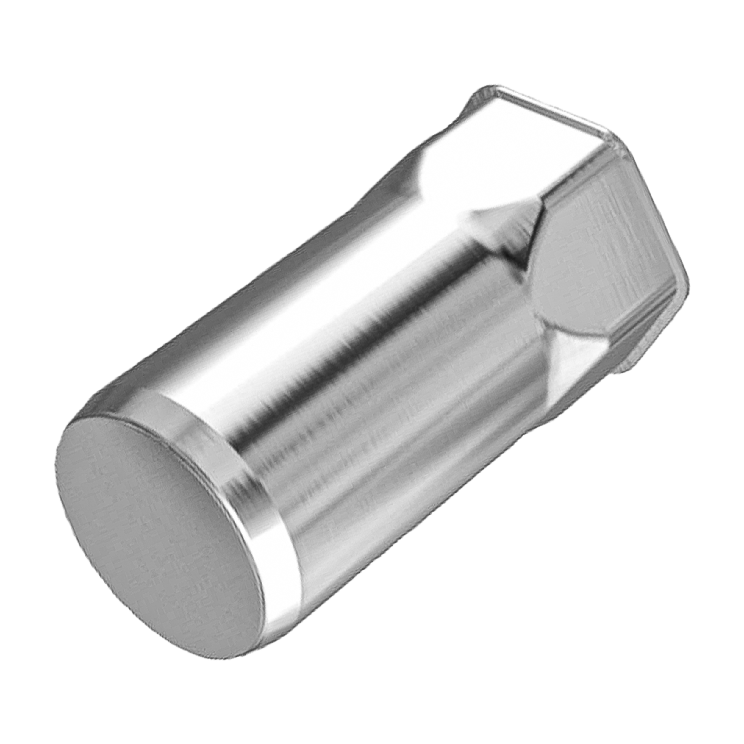 Rivkle Inox, extra gereduceerde kop met gesloten zeskant schacht