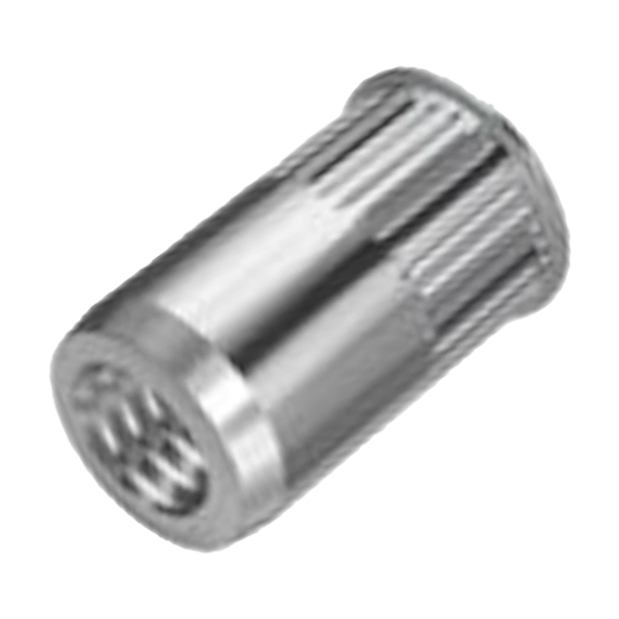 239343605 RIVKLE 343 66 050 233 M5 GKOK 33 INOX DUNNE KOP MET KARTEL ROND 0,7 - 3,3 MM